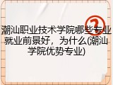 潮汕职业技术学院哪些专业就业前景好，为什么(潮汕学院优势专业)