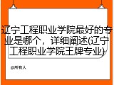 辽宁工程职业学院最好的专业是哪个，详细阐述(辽宁工程职业学院王牌专业)