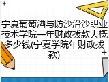 宁夏葡萄酒与防沙治沙职业技术学院一年财政拨款大概多少钱(宁夏学院年财政拨款)