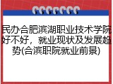 民办合肥滨湖职业技术学院好不好，就业现状及发展趋势(合滨职院就业前景)