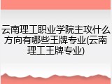 云南理工职业学院主攻什么方向有哪些王牌专业(云南理工王牌专业)
