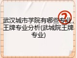 武汉城市学院有哪些专业，王牌专业分析(武城院王牌专业)