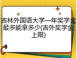 吉林外国语大学一年奖学金最多能拿多少(吉外奖学金上限)