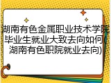 湖南有色金属职业技术学院毕业生就业大致去向如何(湖南有色职院就业去向)
