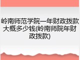 岭南师范学院一年财政拨款大概多少钱(岭南师院年财政拨款)