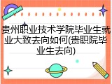 贵州职业技术学院毕业生就业大致去向如何(贵职院毕业生去向)