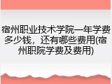 宿州职业技术学院一年学费多少钱，还有哪些费用(宿州职院学费及费用)