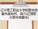 辽宁理工职业大学的图书馆藏书量如何，简介(辽理职大图书馆藏书)
