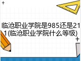 临沧职业学院是985还是211(临沧职业学院什么等级)