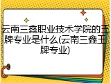 云南三鑫职业技术学院的王牌专业是什么(云南三鑫王牌专业)