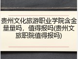 贵州文化旅游职业学院含金量量吗，值得报吗(贵州文旅职院值得报吗)