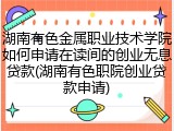 湖南有色金属职业技术学院如何申请在读间的创业无息贷款(湖南有色职院创业贷款申请)