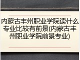 内蒙古丰州职业学院读什么专业比较有前景(内蒙古丰州职业学院前景专业)