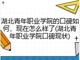 湖北青年职业学院的口碑如何，现在怎么样了(湖北青年职业学院口碑现状)