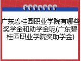 广东碧桂园职业学院有哪些奖学金和助学金呢(广东碧桂园职业学院奖助学金)