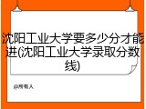 沈阳工业大学要多少分才能进(沈阳工业大学录取分数线)