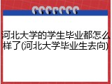 河北大学的学生毕业都怎么样了(河北大学毕业生去向)