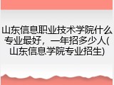 山东信息职业技术学院什么专业最好，一年招多少人(山东信息学院专业招生)