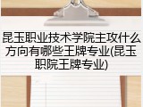 昆玉职业技术学院主攻什么方向有哪些王牌专业(昆玉职院王牌专业)