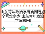 山东青年政治学院官网是哪个网址多少(山东青年政治学院官网)