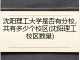 沈阳理工大学是否有分校，共有多少个校区(沈阳理工校区数量)