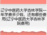 辽宁中医药大学杏林学院一年学费多少钱，还有哪些费用(辽宁中医药大学杏林学院费用)