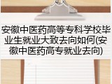 安徽中医药高等专科学校毕业生就业大致去向如何(安徽中医药高专就业去向)