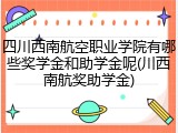 四川西南航空职业学院有哪些奖学金和助学金呢(川西南航奖助学金)