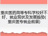 重庆医药高等专科学校好不好，就业现状及发展趋势(重庆医专就业前景)