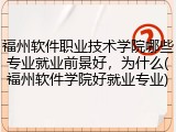 福州软件职业技术学院哪些专业就业前景好，为什么(福州软件学院好就业专业)