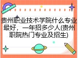 贵州职业技术学院什么专业最好，一年招多少人(贵州职院热门专业及招生)