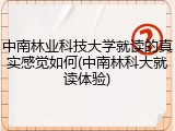 中南林业科技大学就读的真实感觉如何(中南林科大就读体验)