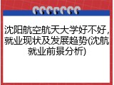 沈阳航空航天大学好不好，就业现状及发展趋势(沈航就业前景分析)