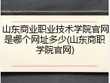 山东商业职业技术学院官网是哪个网址多少(山东商职学院官网)