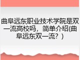 曲阜远东职业技术学院是双一流高校吗，简单介绍(曲阜远东双一流？)