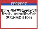 北京劳动保障职业学院有哪些专业，就业前景如何(北京劳职院专业就业)