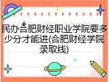民办合肥财经职业学院要多少分才能进(合肥财经学院录取线)