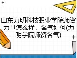 山东力明科技职业学院师资力量怎么样，名气如何(力明学院师资名气)