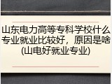 山东电力高等专科学校什么专业就业比较好，原因是啥(山电好就业专业)