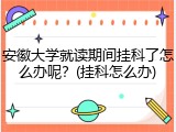 安徽大学就读期间挂科了怎么办呢？(挂科怎么办)