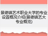 景德镇艺术职业大学的专业设置概况介绍(景德镇艺大专业概览)