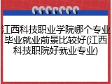 江西科技职业学院哪个专业毕业就业前景比较好(江西科技职院好就业专业)