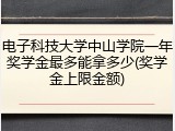 电子科技大学中山学院一年奖学金最多能拿多少(奖学金上限金额)