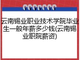 云南锡业职业技术学院毕业生一般年薪多少钱(云南锡业职院薪资)
