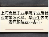 上海震旦职业学院毕业后就业前景怎么样，毕业生去向(震旦职院就业去向)