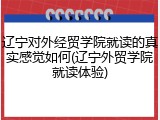 辽宁对外经贸学院就读的真实感觉如何(辽宁外贸学院就读体验)