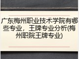 广东梅州职业技术学院有哪些专业，王牌专业分析(梅州职院王牌专业)