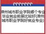 漳州城市职业学院哪个专业毕业就业前景比较好(漳州城市职业学院好就业专业)