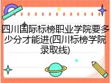四川国际标榜职业学院要多少分才能进(四川标榜学院录取线)