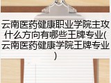 云南医药健康职业学院主攻什么方向有哪些王牌专业(云南医药健康学院王牌专业)